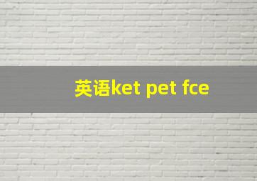 英语ket pet fce